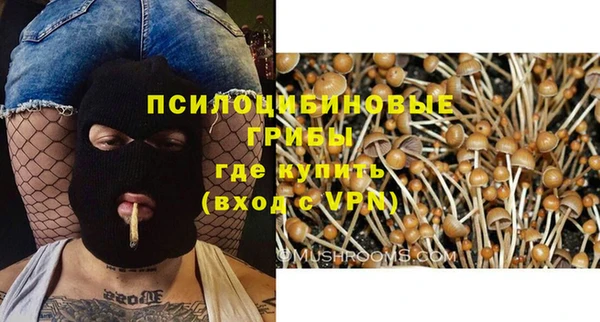 герыч Дмитриев