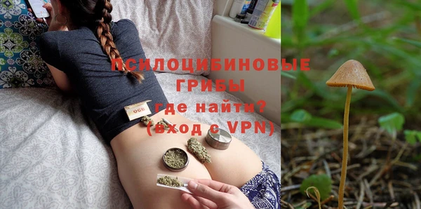 спайс Дмитров