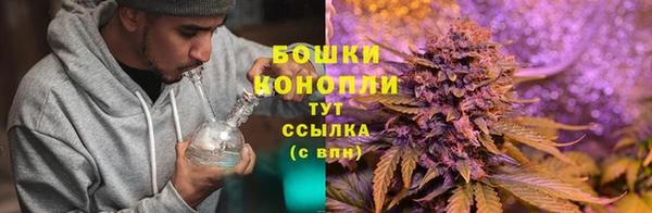 спайс Дмитров