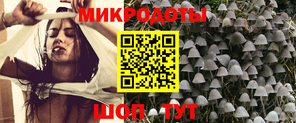 Псилоцибиновые грибы MAGIC MUSHROOMS Вольск