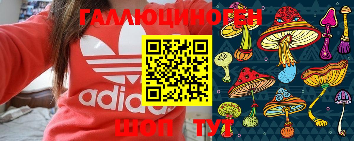 Вольск  Псилоцибиновые грибы MAGIC MUSHROOMS  Вход с VPN 