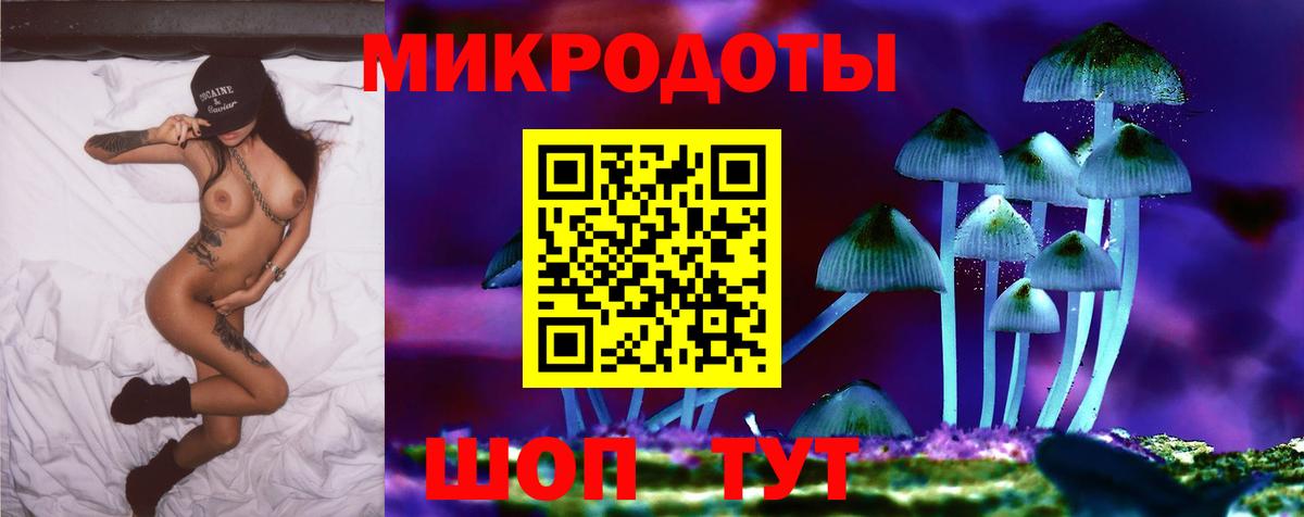 Псилоцибиновые грибы прущие грибы  Галлюциногенные грибы Cubensis  Вольск 