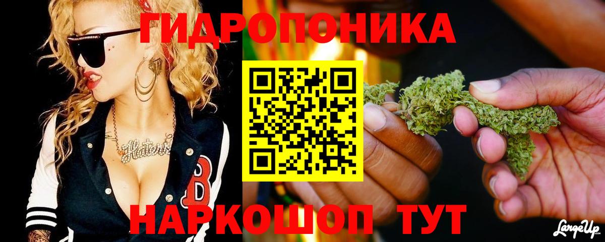 Бошки марихуана Bruce Banner  Бошки марихуана LSD WEED  Вольск 